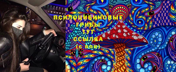 винт Новокубанск