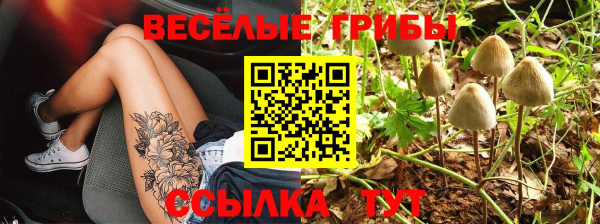 Галлюциногенные грибы MAGIC MUSHROOMS Мичуринск