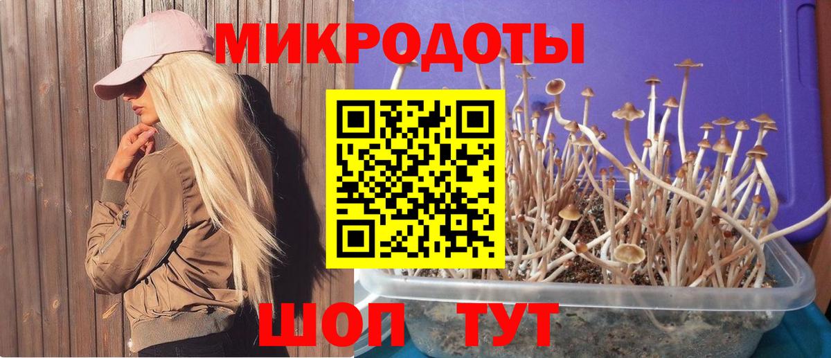 Мичуринск  Псилоцибиновые грибы прущие грибы  Псилоцибиновые грибы прущие грибы  Вход с VPN 