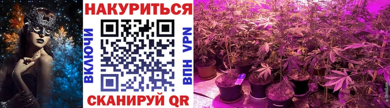Каннабис SATIVA & INDICA  сколько стоит  Мичуринск 